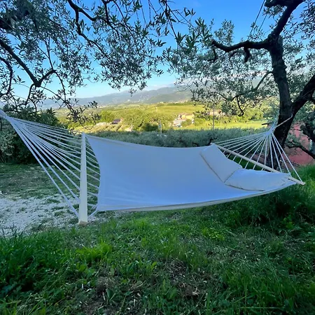 公寓 Casa Di Campagna Colle Pertecone -
